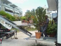 IMG019.jpg